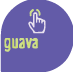 Guava Store Ventures logo